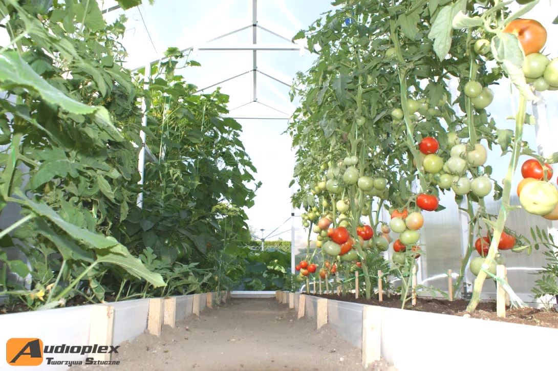 szklarnia z poliwęglanu